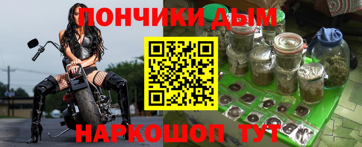 МАРИХУАНА сатива Сургут